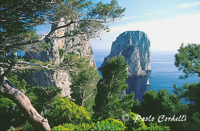 Capri, Campania, Italy
 (cod:Capri 01)