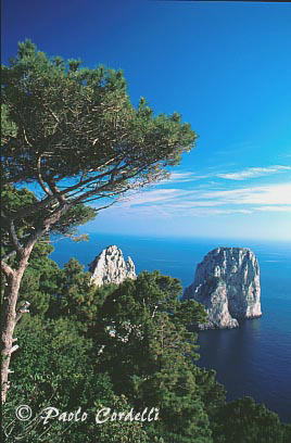 Capri, Campania, Italy
(cod:Capri 07)