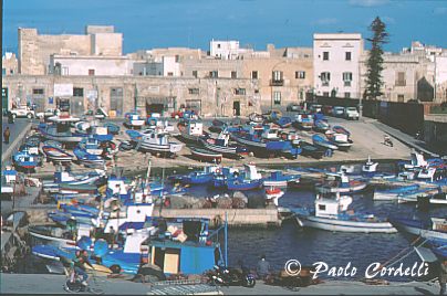 Favignana, Egadi Islands, Sicily, Italy
(cod:Sicily 25)