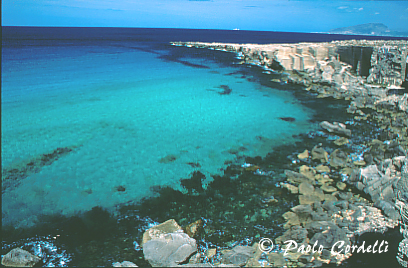 Favignana, Egadi Islands, Sicily, Italy
(cod:Sicily 24)